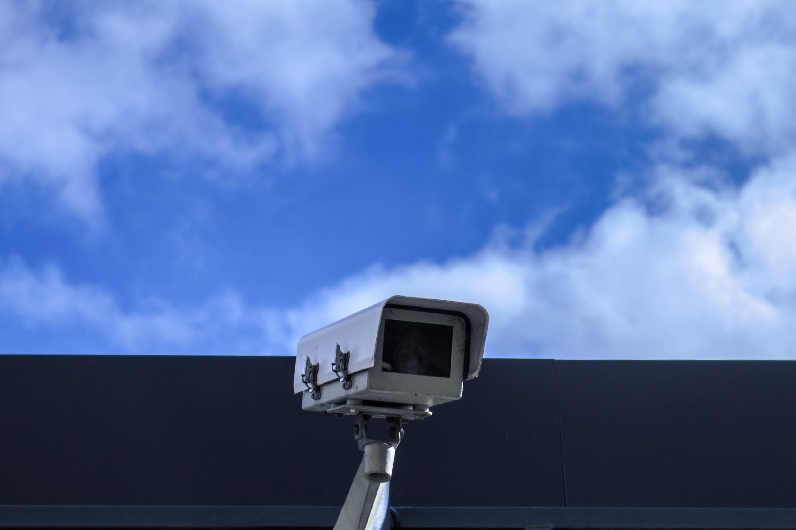 nathy-dog-z1uDmJx3ZEQ-unsplash CCTV2