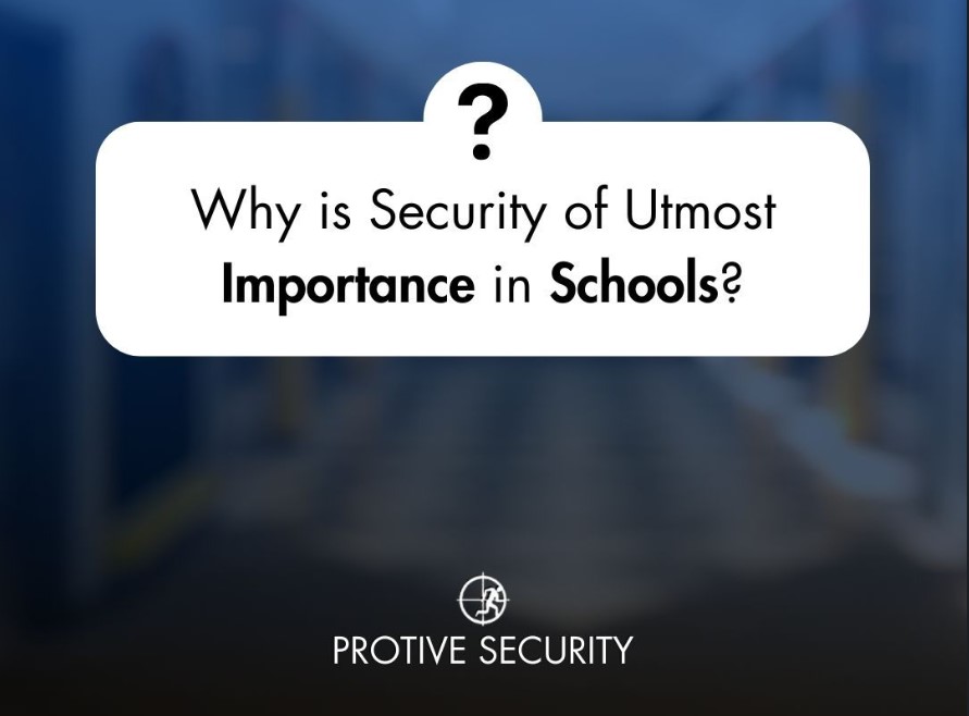 Picture4 security in schools