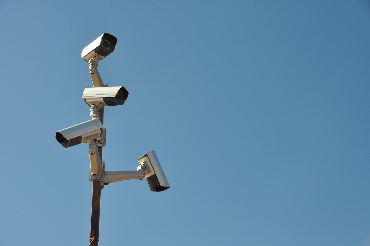 multi-cameras